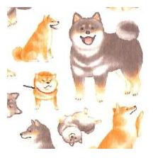 3823658-724a0f15ad539846ed61c7c8e75f74ca8e5696e27ab69296936a04b04e1b8499
