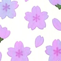 #季節・FANシール サクラ OKUYAMA奥山 :4935786450786