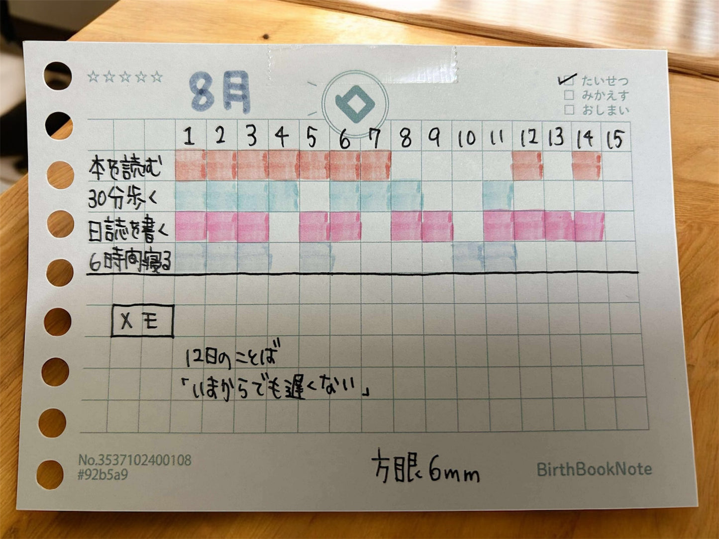 てづくりみたいなL判 : バースブックノート : オーダーノート オーダー手帳  オーダールーズリーフミニ 9穴 : スケジュール帳  月間マンスリー