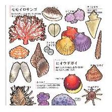 3823120-4c3416f5c1a17396073f1fdf6d96cfb8695da640755641f95ccf46fa6dae8457
