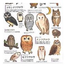 3823398-2c2e4fc9f856bc5fe196e27b7d61f99331f39e550ea564ace23e3af53084a02e