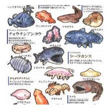 3823417-d4bcfbc20724d263e59823638d451bd644deee1cf86a48fbcd5d4989ff922a0f