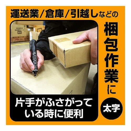 ＃ゼブラマッキーノック太字黒 ｾﾞﾌﾞﾗ(株) :4901681525010