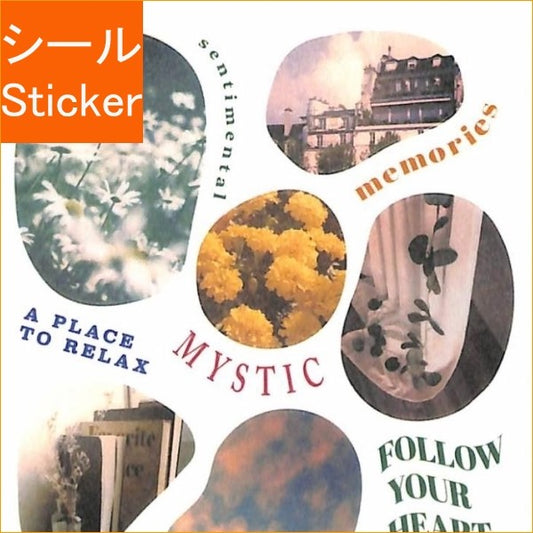 ＃ﾍﾟﾃｨｯﾄﾓﾝﾄﾞｽﾃｯｶｰ 81589 ｼｰﾝ ﾌｫﾄ ﾏｲﾝﾄﾞｳｪｲﾌﾞ :4909001815896