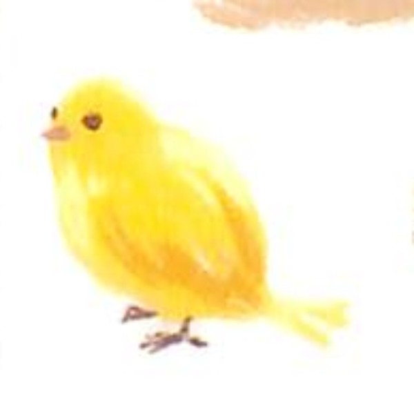 ＃ﾌﾞﾘｰｽﾞ ﾏｲﾝﾄﾞｳｪｲﾌﾞ :4909001816091