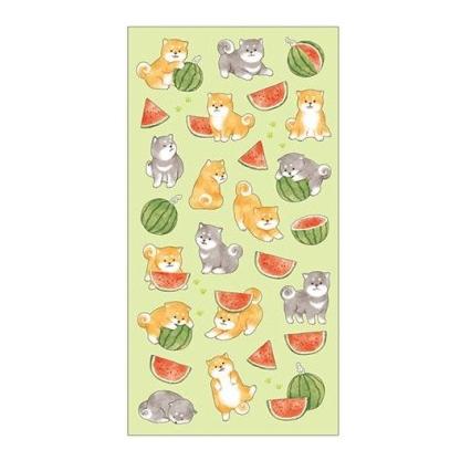 4909001823525