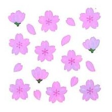 ＃ｵｰﾛﾗｼｰﾙ 桜 デコレーション 手帳 メッセージカード 奥山 :4935786360788