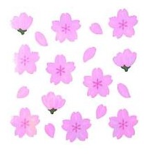＃ｵｰﾛﾗｼｰﾙ 桜 デコレーション 手帳 メッセージカード 奥山 :4935786360788