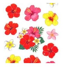 ＃季節 ﾗﾒ入り ｼｰﾙ ﾊｲﾋﾞｽｶｽ 花束 トロピカル 南国 花柄 ステッカー 赤 ピンク 黄色 白 夏 奥山 :4935786422356