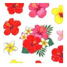 ＃季節 ﾗﾒ入り ｼｰﾙ ﾊｲﾋﾞｽｶｽ 花束 トロピカル 南国 花柄 ステッカー 赤 ピンク 黄色 白 夏 奥山 :4935786422356