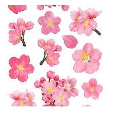 ＃ﾗﾒ入り ｼｰﾙ お花見 提灯シール お花見デコ 桜グッズ 春飾り 奥山 :4935786422851