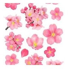 ＃ﾗﾒ入り ｼｰﾙ お花見 提灯シール お花見デコ 桜グッズ 春飾り 奥山 :4935786422851