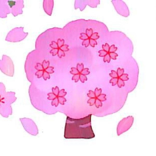 ＃季節･FANｼｰﾙ ｻｸﾗﾉｷ OKUYAMA奥山 :4935786452247