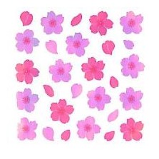 ＃ｵｰﾛﾗｼｰﾙ 桜花びら グラデーション 春 桜柄 可愛い デコレーション 奥山 :4935786575786