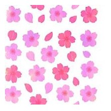 ＃ｵｰﾛﾗｼｰﾙ 桜花びら グラデーション 春 桜柄 可愛い デコレーション 奥山 :4935786575786
