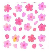＃ｵｰﾛﾗｼｰﾙ 桜花びら グラデーション 春 桜柄 可愛い デコレーション 奥山 :4935786575786