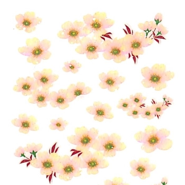 ＃季節ﾗﾒ入りｼｰﾙｻｸﾗ OKUYAMA奥山 :4935786584245