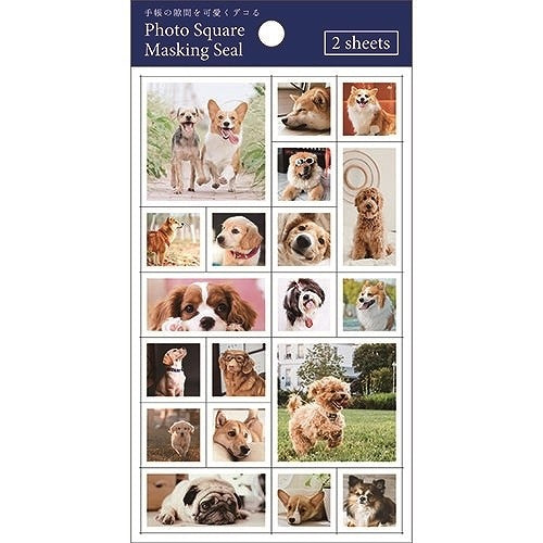 ＃Mｼｰﾙ･ﾌｫﾄｽｸｴｱ･犬 ﾊﾟｲﾝﾌﾞｯｸ :4938325436432