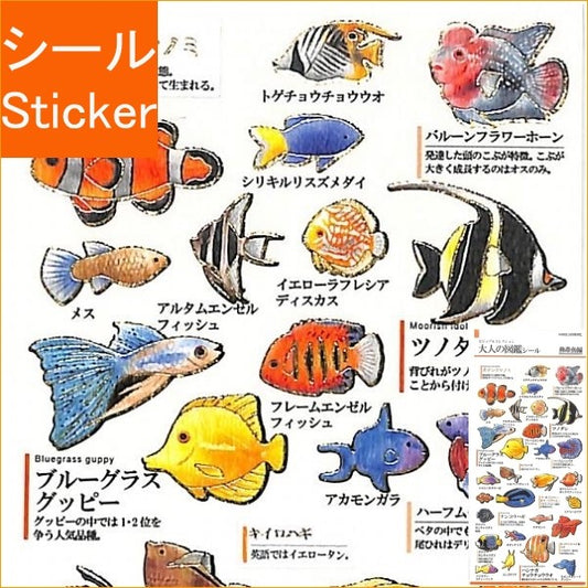 ＃大人の図鑑 ＃PMｵﾄﾅﾉｽﾞｶﾝｼｰﾙ/ﾈｯﾀｲｷﾞｮ (株)ｶﾐｵｼﾞｬﾊﾟﾝ :4991277239605