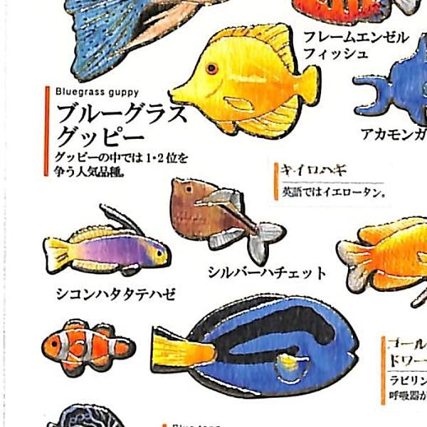 ＃大人の図鑑 ＃PMｵﾄﾅﾉｽﾞｶﾝｼｰﾙ/ﾈｯﾀｲｷﾞｮ (株)ｶﾐｵｼﾞｬﾊﾟﾝ :4991277239605