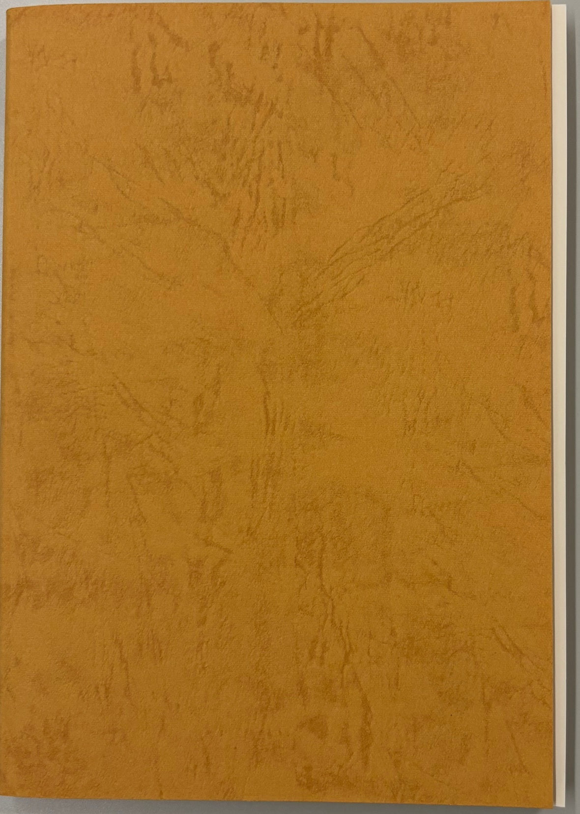 すきないろのB5  : バースブックノート : オーダーノート オーダー手帳  オーダールーズリーフ 26穴 : スケジュール帳  月間マンスリー