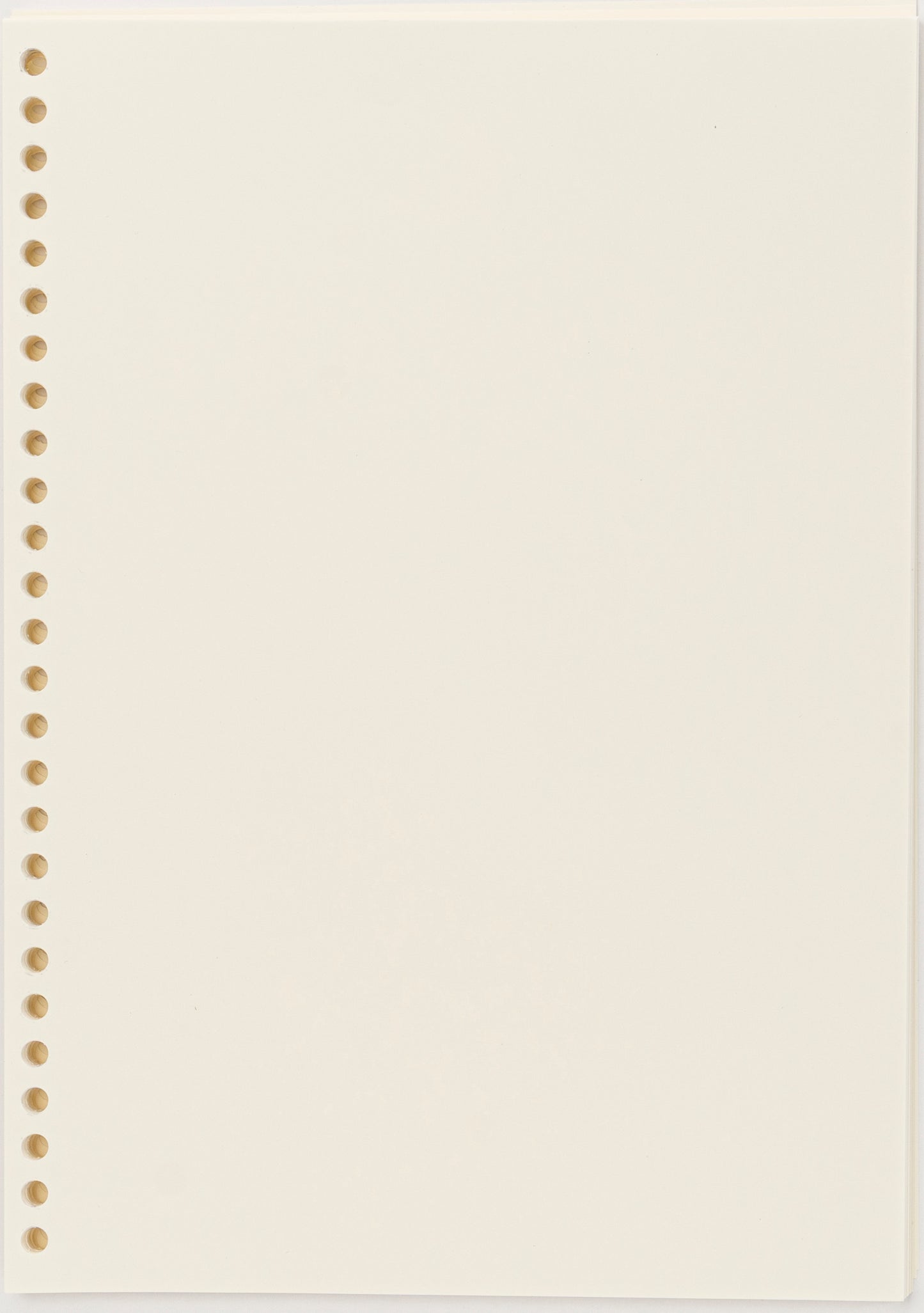 すきないろのB5  : バースブックノート : オーダーノート オーダー手帳  オーダールーズリーフ 26穴 : スケジュール帳  月間マンスリー