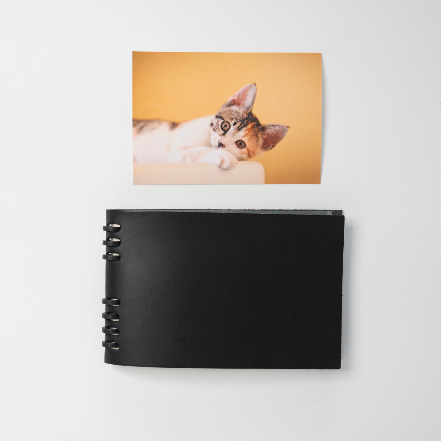 てづくりみたいなL判 : バースブックノート : オーダーノート オーダー手帳  オーダールーズリーフ 9穴 : スケジュール帳  月間マンスリー